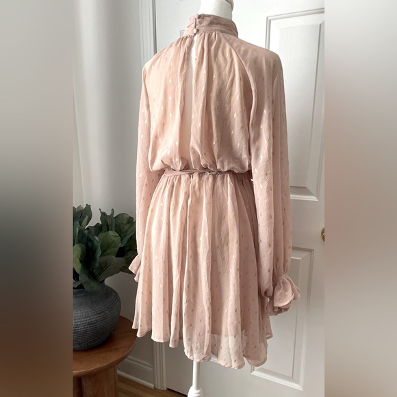 She + Sky Blush & Gold Long sleeve Dress Size S - Picture 4 of 11